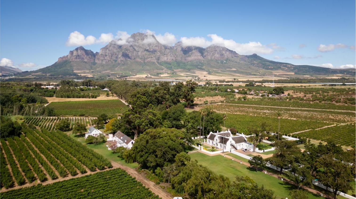 Allee Bleue Wine Estate Simondium Luaran gambar