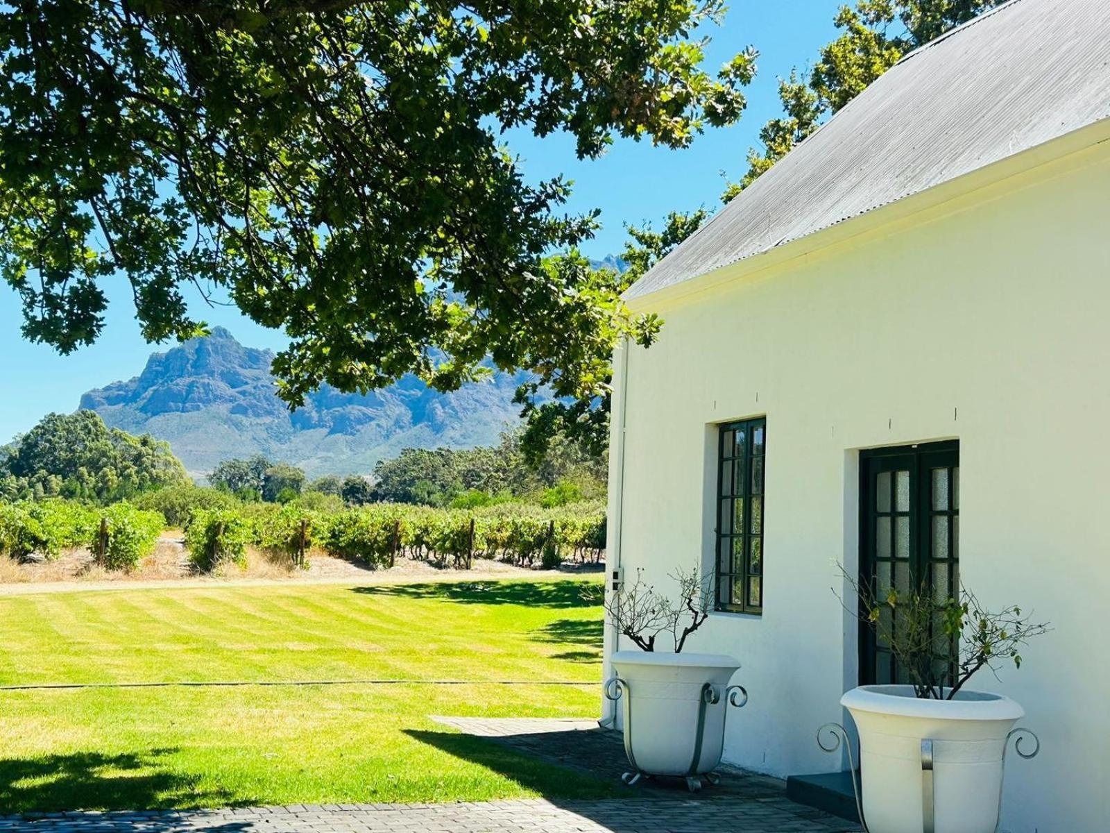 Allee Bleue Wine Estate Simondium Luaran gambar
